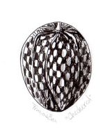 Checkered Egg